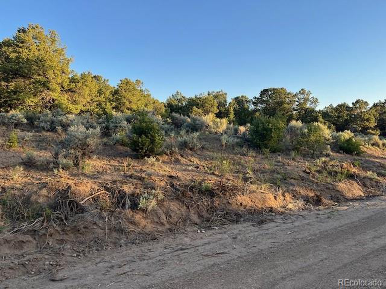 1575 Balleroy Road San Luis, CO 81152 - Photo 4 of 14 Plenty of space to build.
