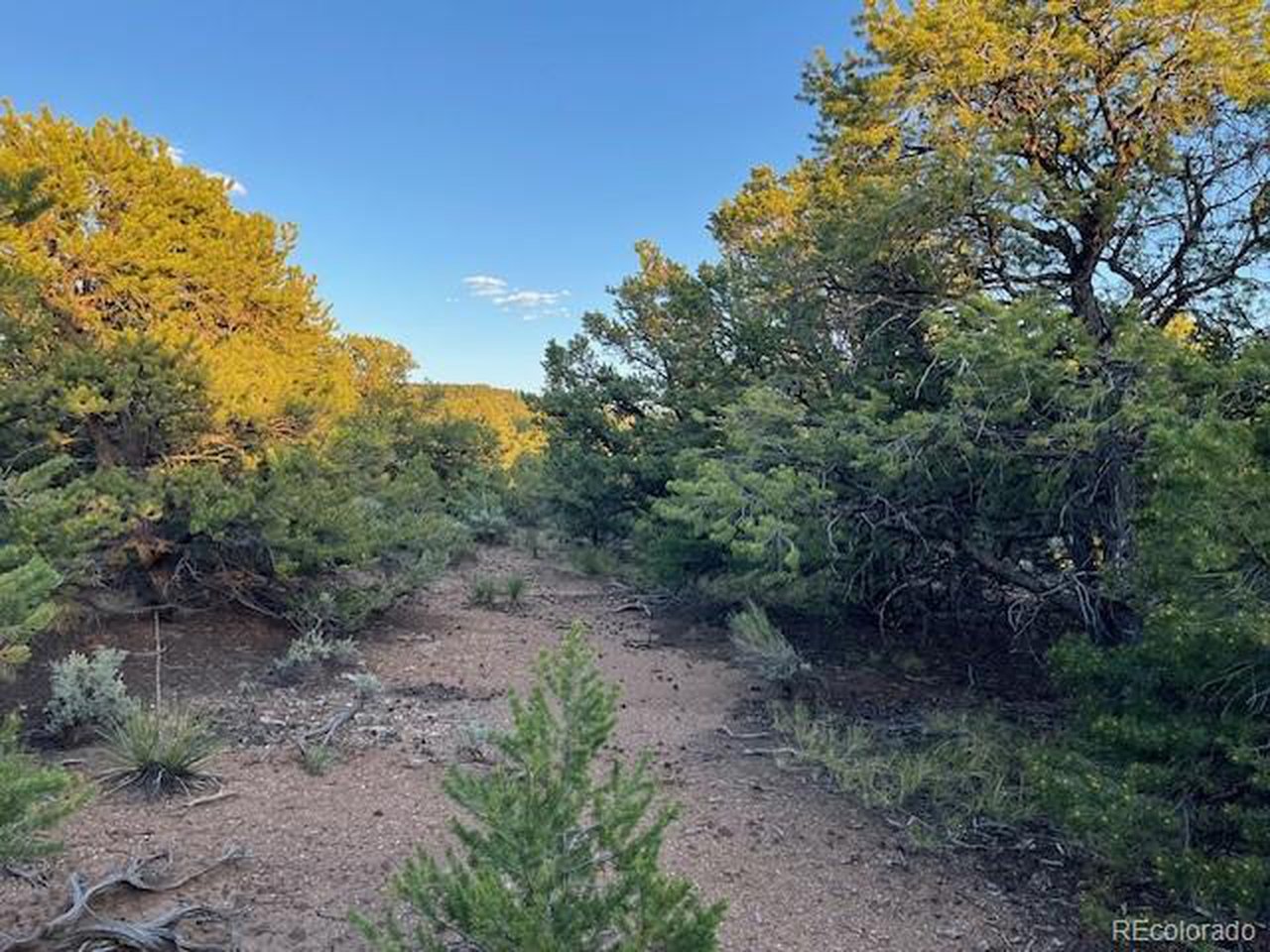 1575 Balleroy Road San Luis, CO 81152 - Photo 7 of 14 Near the SW corner of the property.