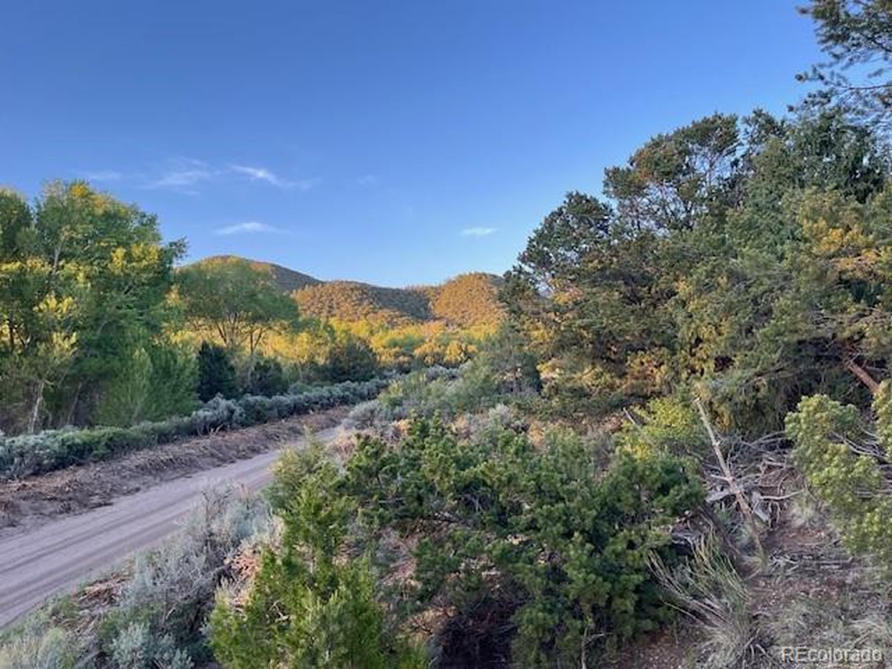 1575 Balleroy Road San Luis, CO 81152 - Photo 9 of 14 Gallery Image 9