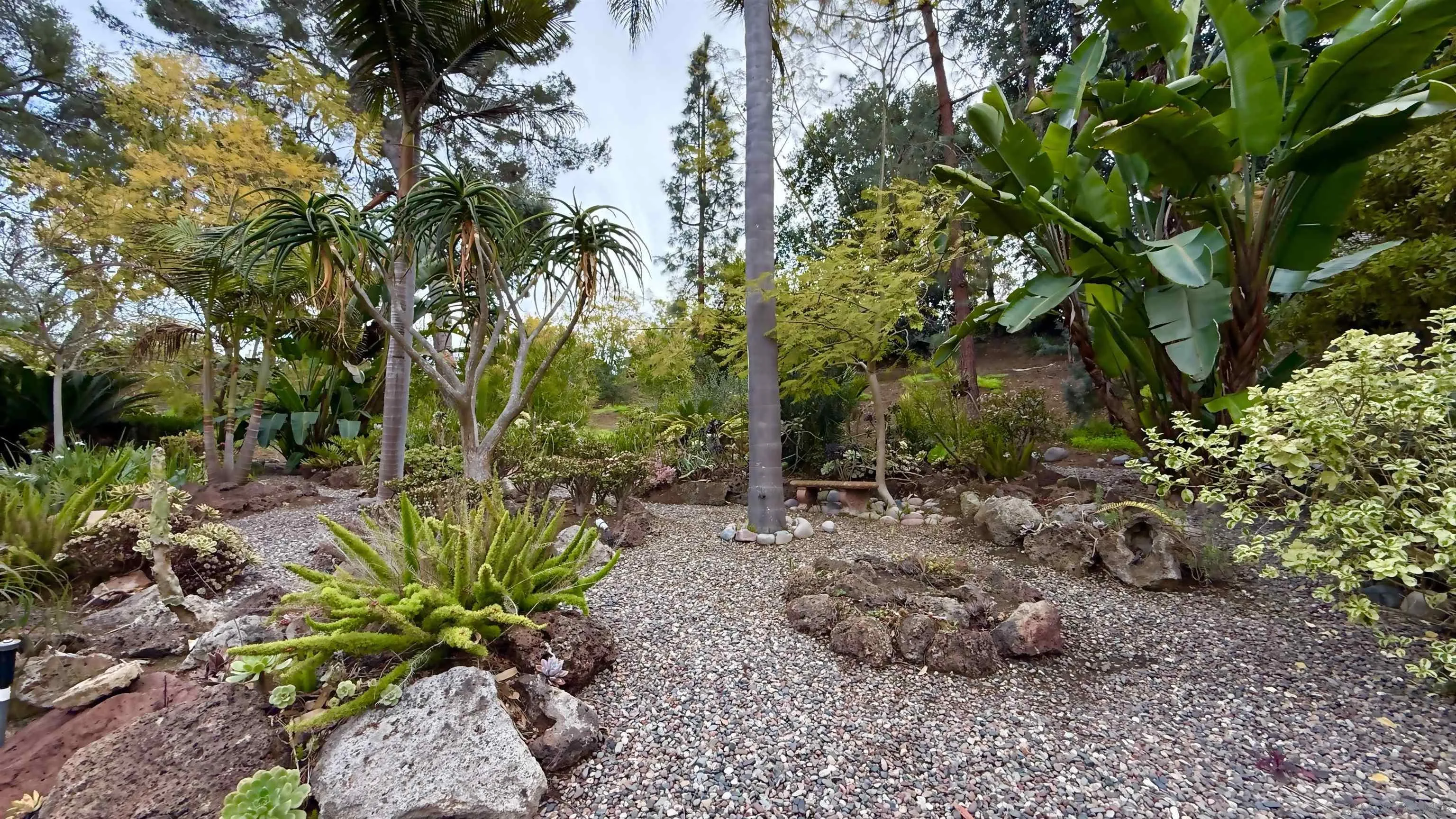16722 Via Lago Azul Rancho Santa Fe, CA 92067 - Photo 26 of 28 a backyard of a house with a yard and outdoor seating