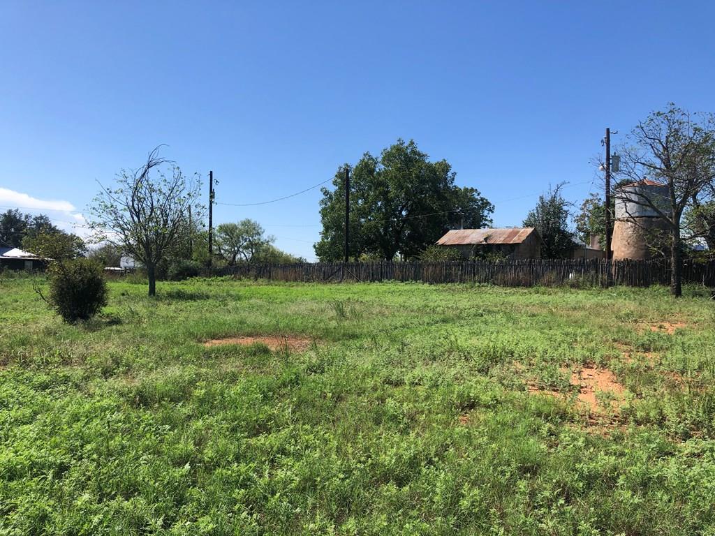 716 Bluebonnet Road Mason, TX 76856 - Photo 1 of 3 Main View