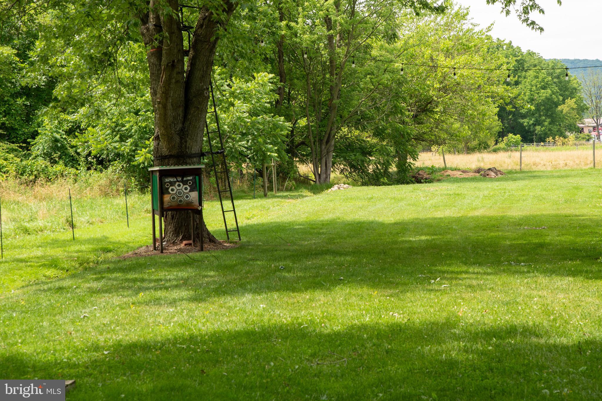 1848 Smith Station Road Spring Grove, PA 17362 - Photo 27 of 33 Peaceful backyard