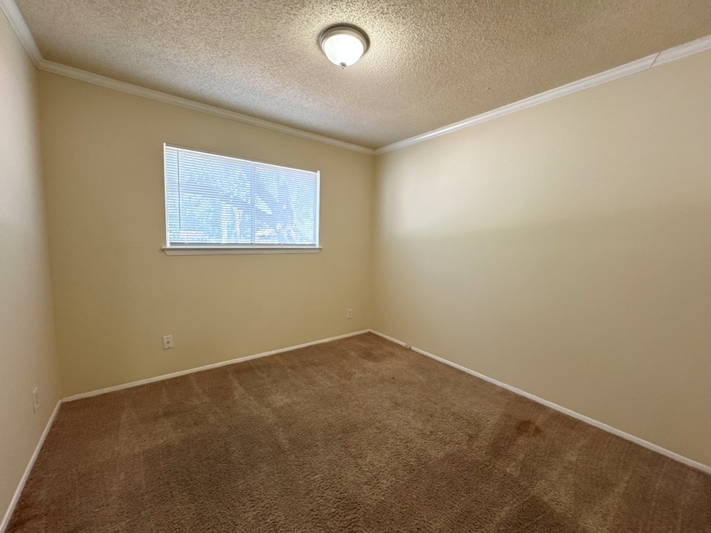 5905 Burrough Drive Austin, TX 78745 - Photo 28 of 40 Carpeted empty room with ornamental molding and a textured ceiling
