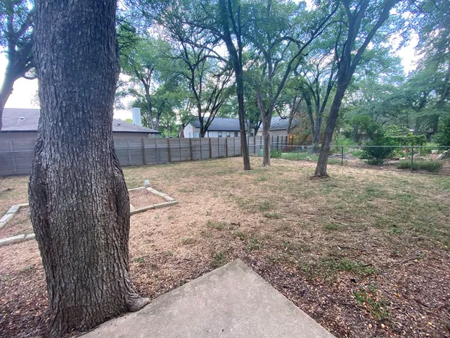 a view of a yard with a tree