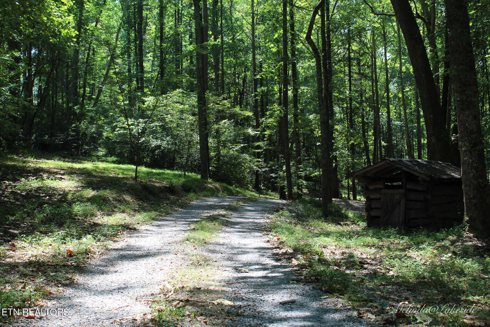 6575 Hopewell Road Harrogate, TN 37752 - Photo 47 of 54 IMG_1976
