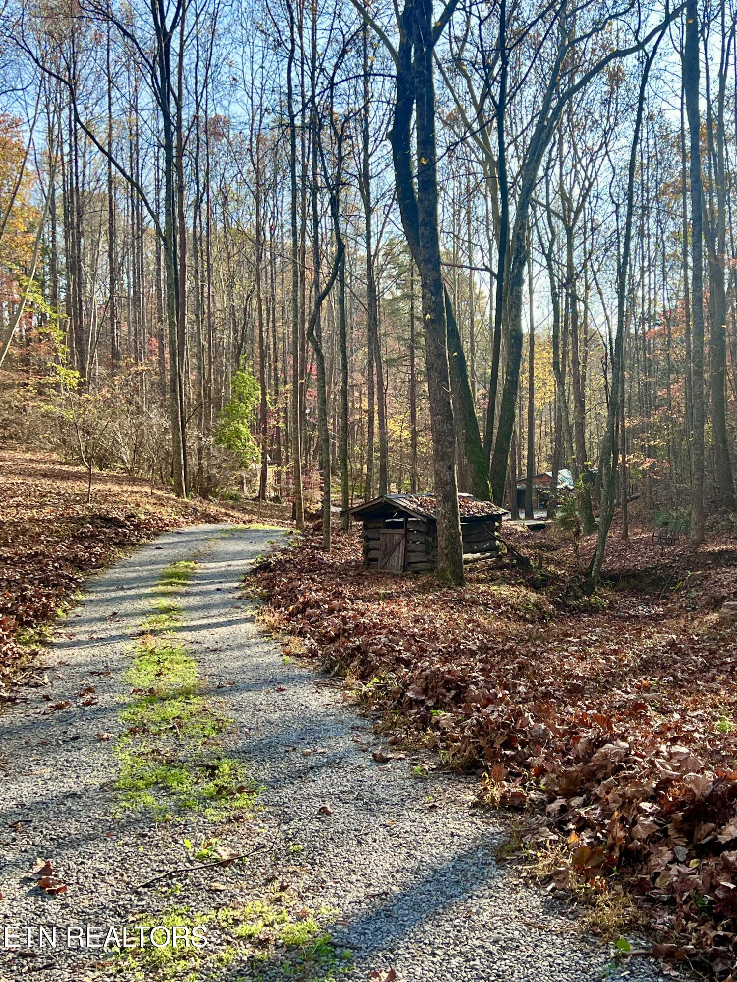 6575 Hopewell Road Harrogate, TN 37752 - Photo 51 of 54 20241103_203902688_iOS