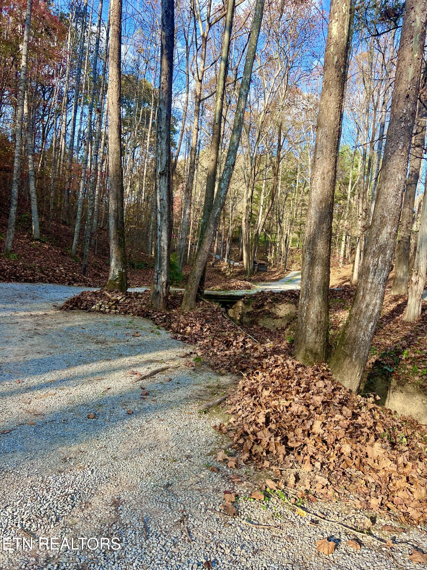 6575 Hopewell Road Harrogate, TN 37752 - Photo 54 of 54 20241103_204805130_iOS