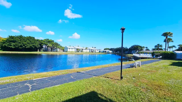 a view of a park with large trees