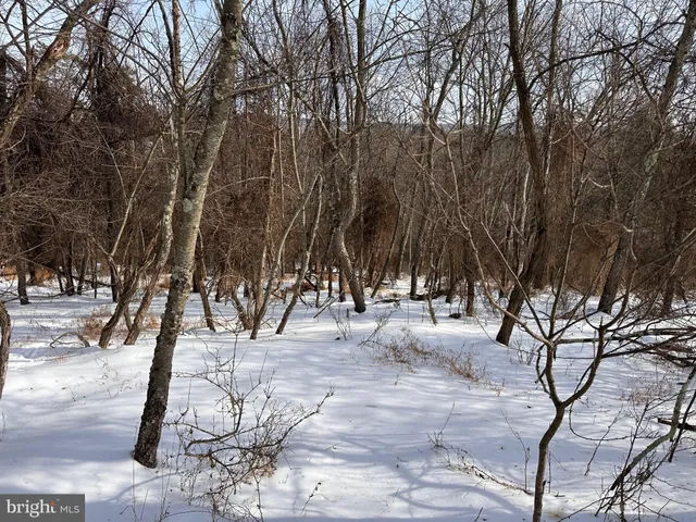 $20,000 | 1.01-ac Winchester Grade Road, Berkeley Springs, WV 25411