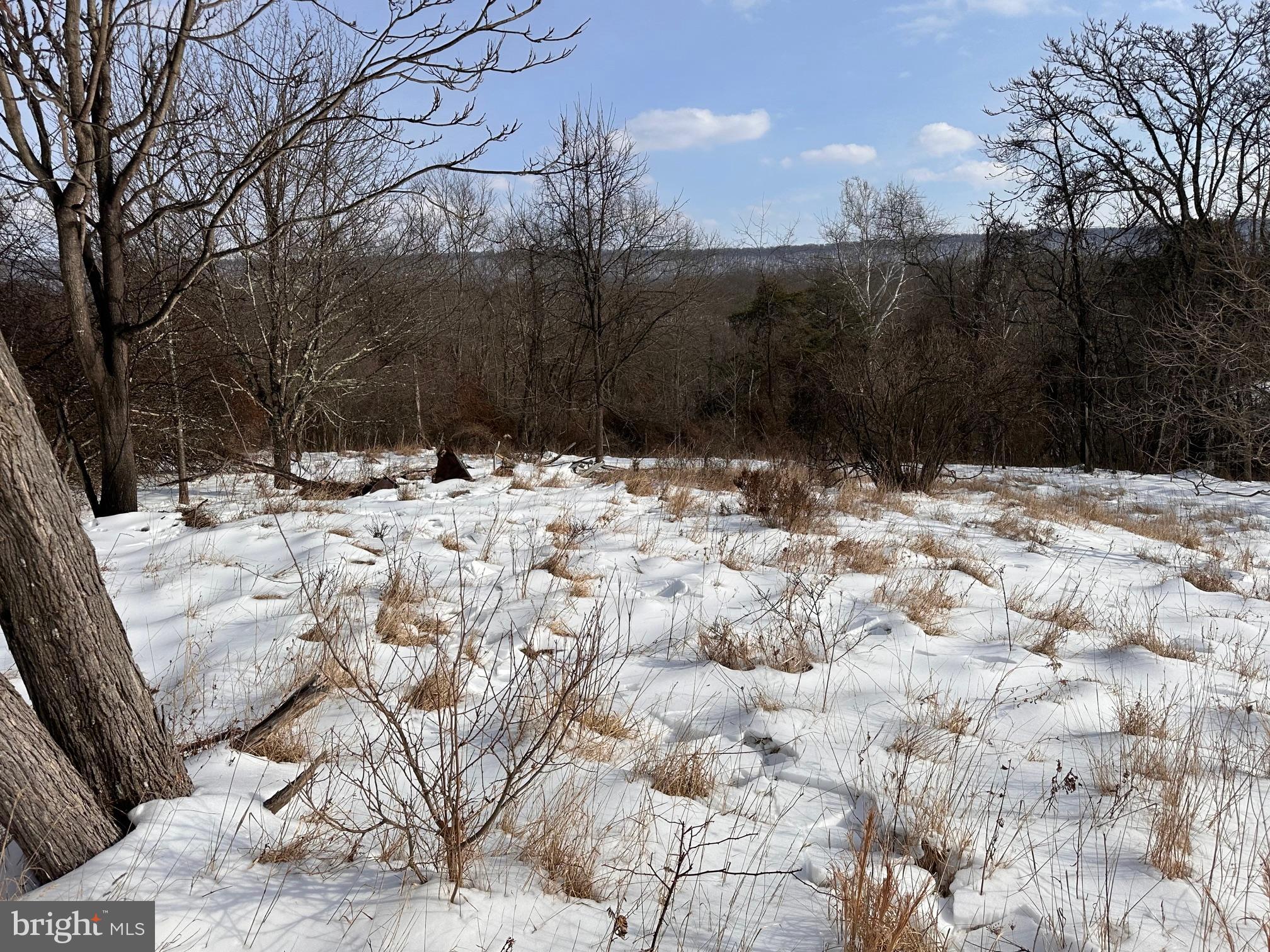 1.01-ac Winchester Grade Road Berkeley Springs, WV 25411 - Photo 3 of 7