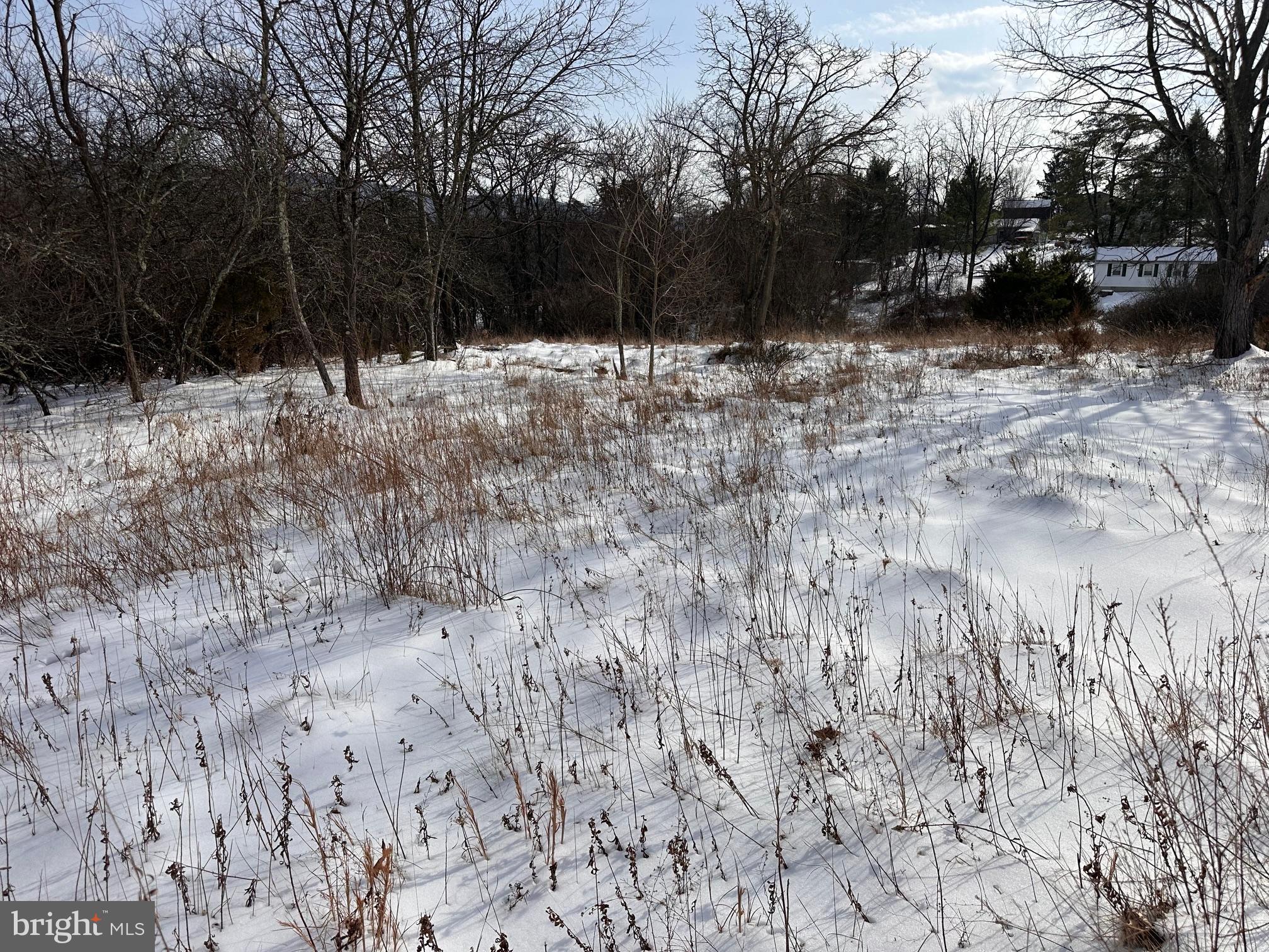 1.01-ac Winchester Grade Road Berkeley Springs, WV 25411 - Photo 6 of 7