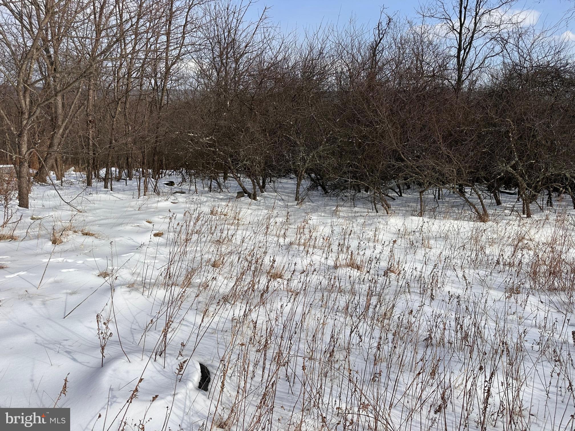 1.01-ac Winchester Grade Road Berkeley Springs, WV 25411 - Photo 7 of 7