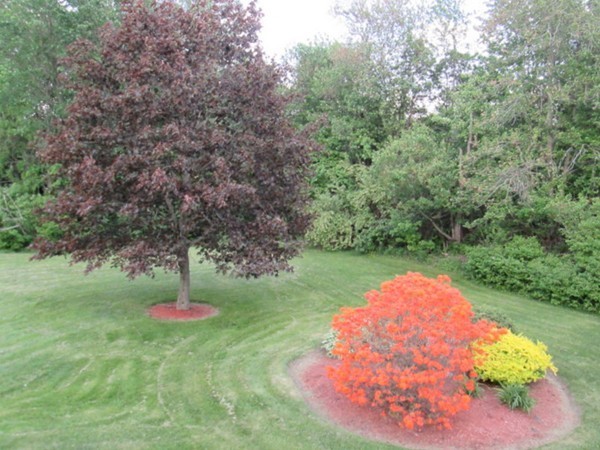 493 Boston Road Sutton, MA 01590 - Photo 5 of 30