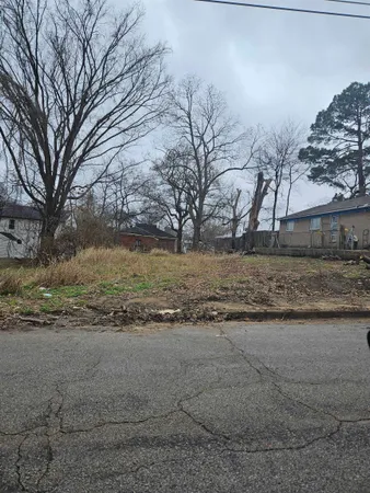 a view of dirt yard with a large tree