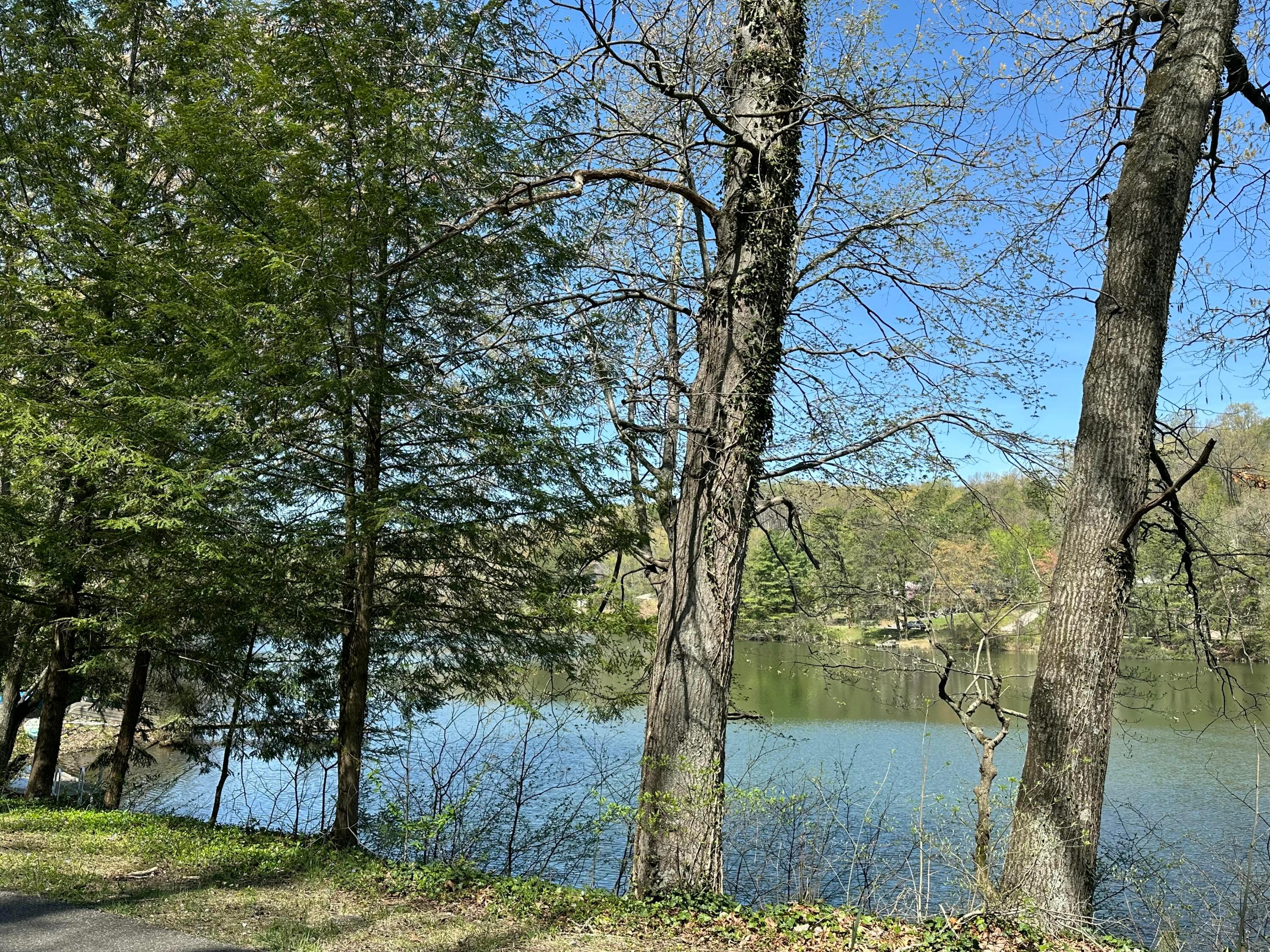 View of lake from the lot