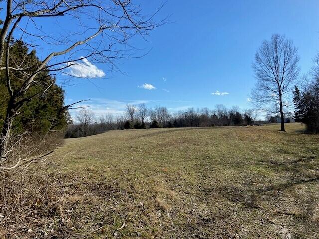 384 Pinhook Road Mount Olivet, KY 41064 - Photo 21 of 21 Gallery Image 21