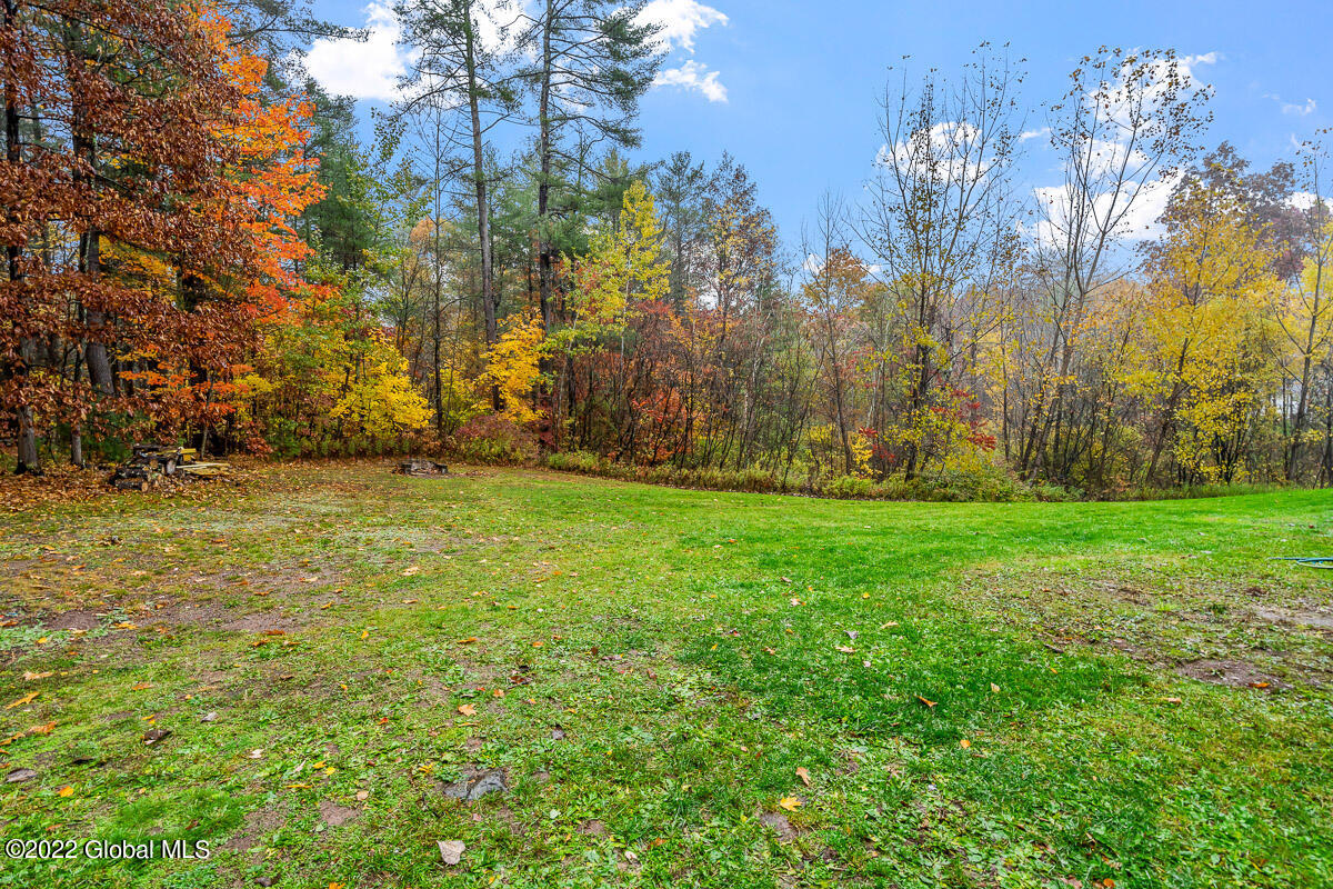562 Vernal Butler Road Cairo, NY 12413 - Photo 6 of 51 562 Vernel Butler Road Cairo NY 006 MLS