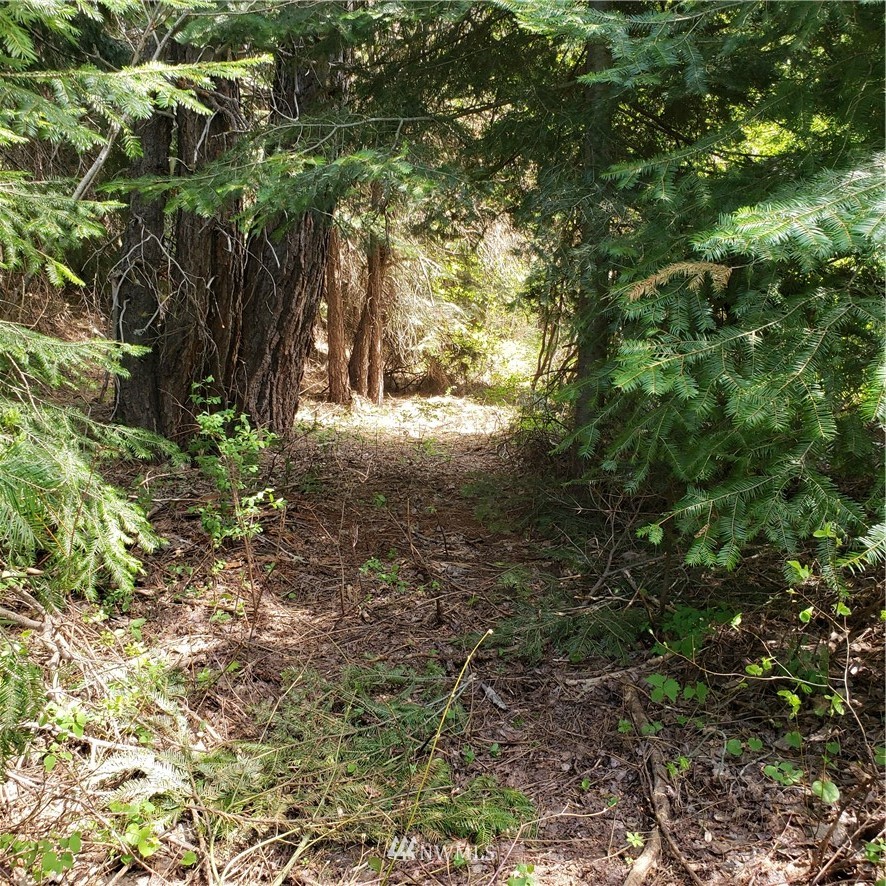 49 Wagon Wheel Road Cle Elum, WA 98922 - Photo 1 of 15 Gallery Image 1