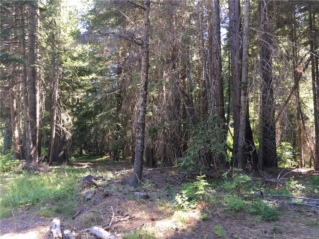 49 Wagon Wheel Road Cle Elum, WA 98922 - Photo 11 of 15 Gallery Image 11