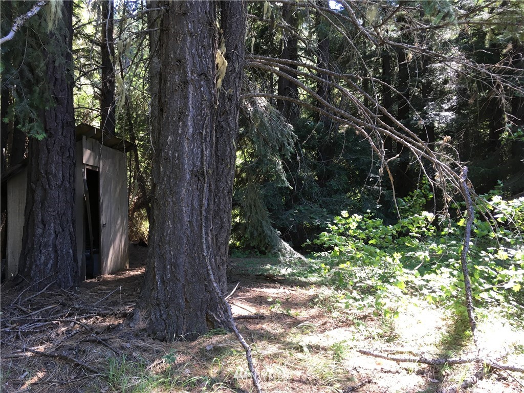 49 Wagon Wheel Road Cle Elum, WA 98922 - Photo 12 of 15 Gallery Image 12