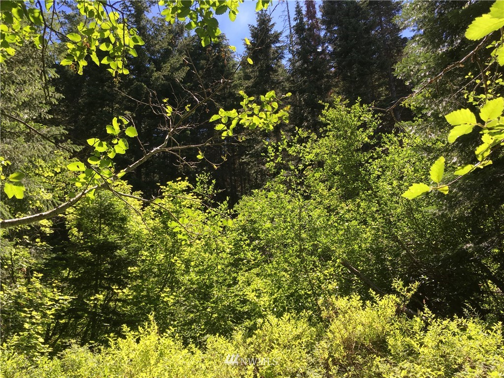 49 Wagon Wheel Road Cle Elum, WA 98922 - Photo 3 of 15 Gallery Image 3