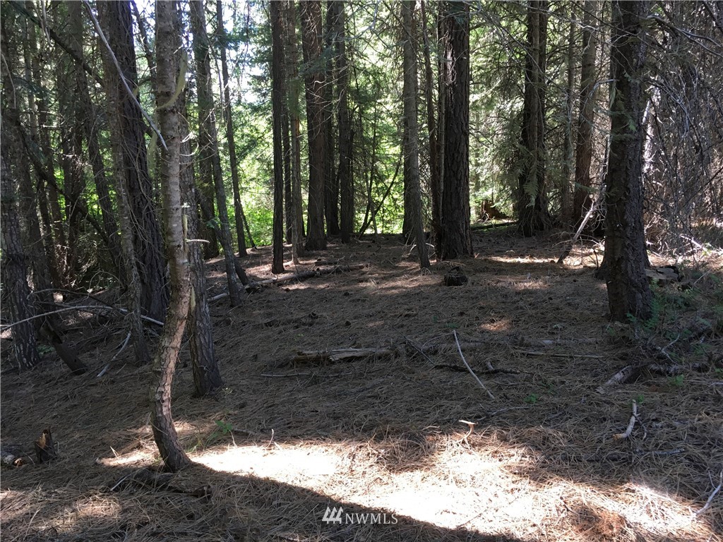 49 Wagon Wheel Road Cle Elum, WA 98922 - Photo 6 of 15 Gallery Image 6