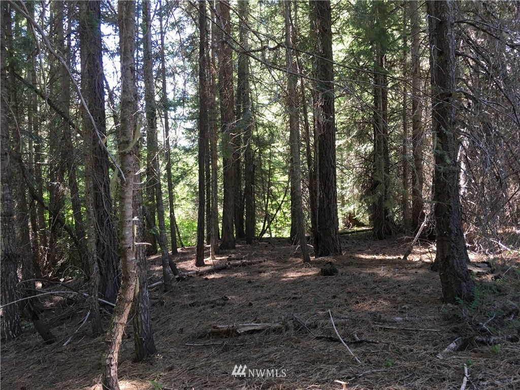 49 Wagon Wheel Road Cle Elum, WA 98922 - Photo 7 of 15 Gallery Image 7