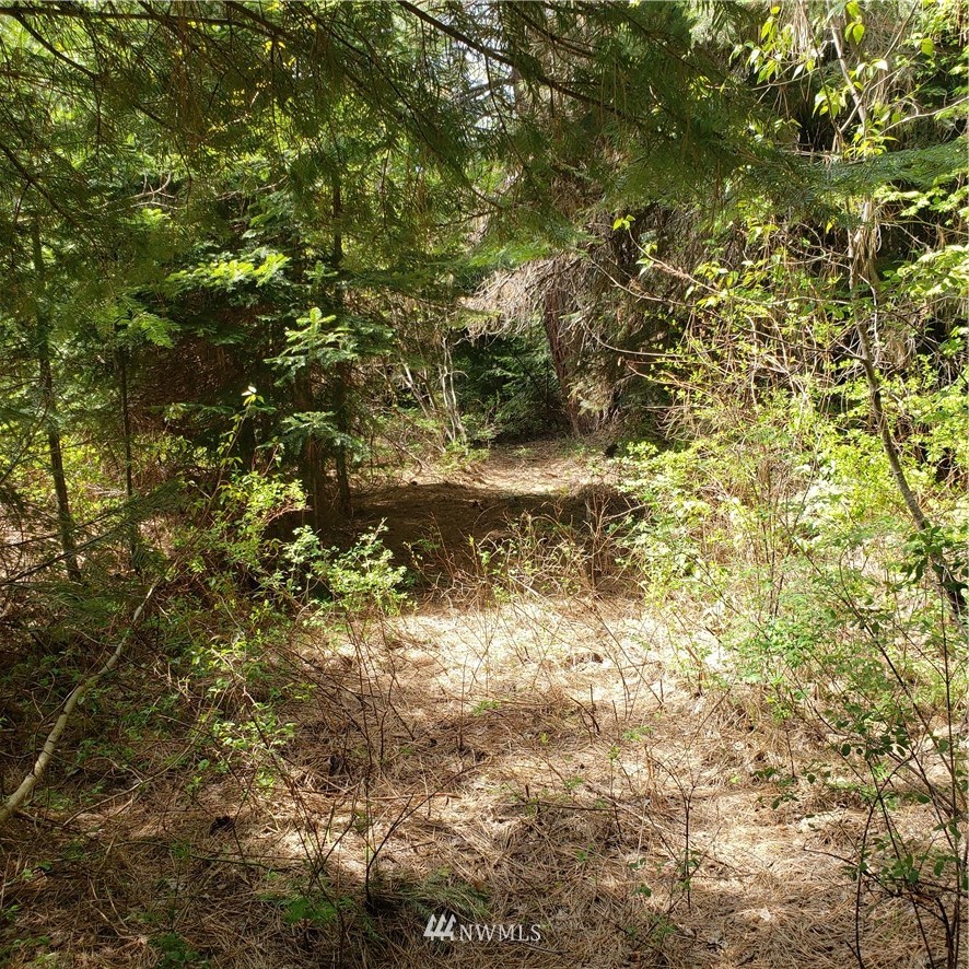 49 Wagon Wheel Road Cle Elum, WA 98922 - Photo 8 of 15 Gallery Image 8