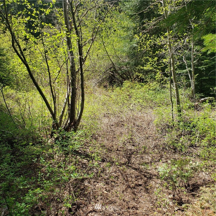 49 Wagon Wheel Road Cle Elum, WA 98922 - Photo 9 of 15 Gallery Image 9