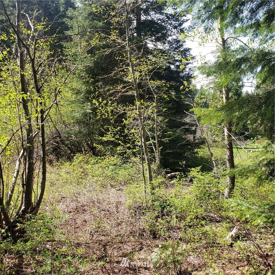 49 Wagon Wheel Road Cle Elum, WA 98922 - Photo 10 of 15 Gallery Image 10