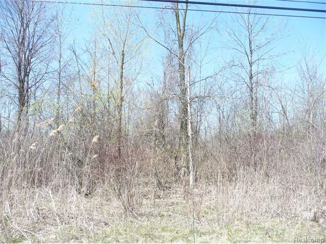 0 North Squirrel Road Auburn Hills, MI 48326 - Photo 5 of 9