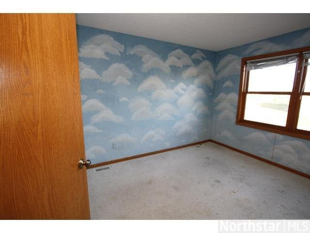 1365 Sparrow Road Waconia, MN 55387 - Photo 11 of 14