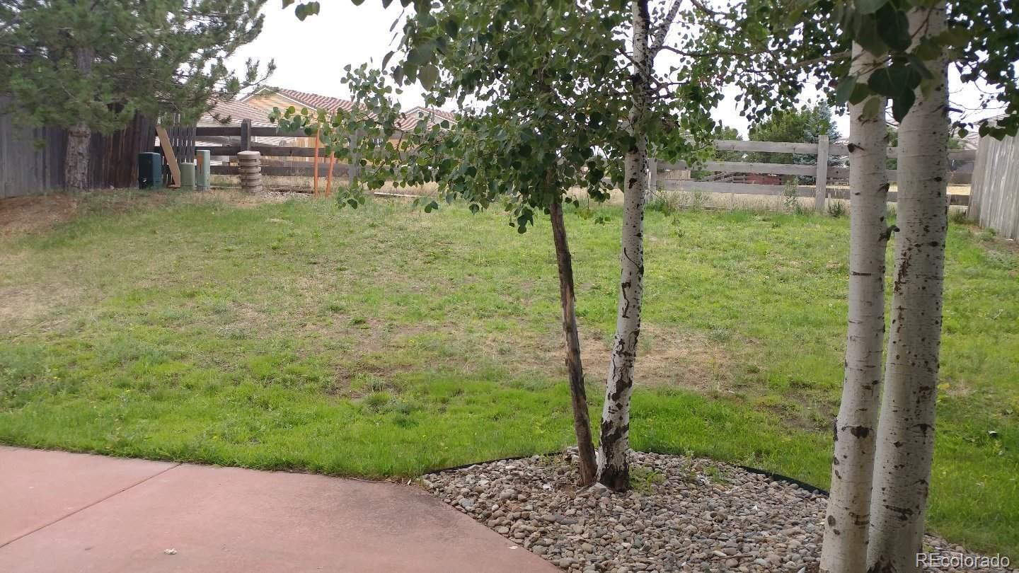 20370 East 48th Place Denver, CO 80249 - Photo 24 of 27