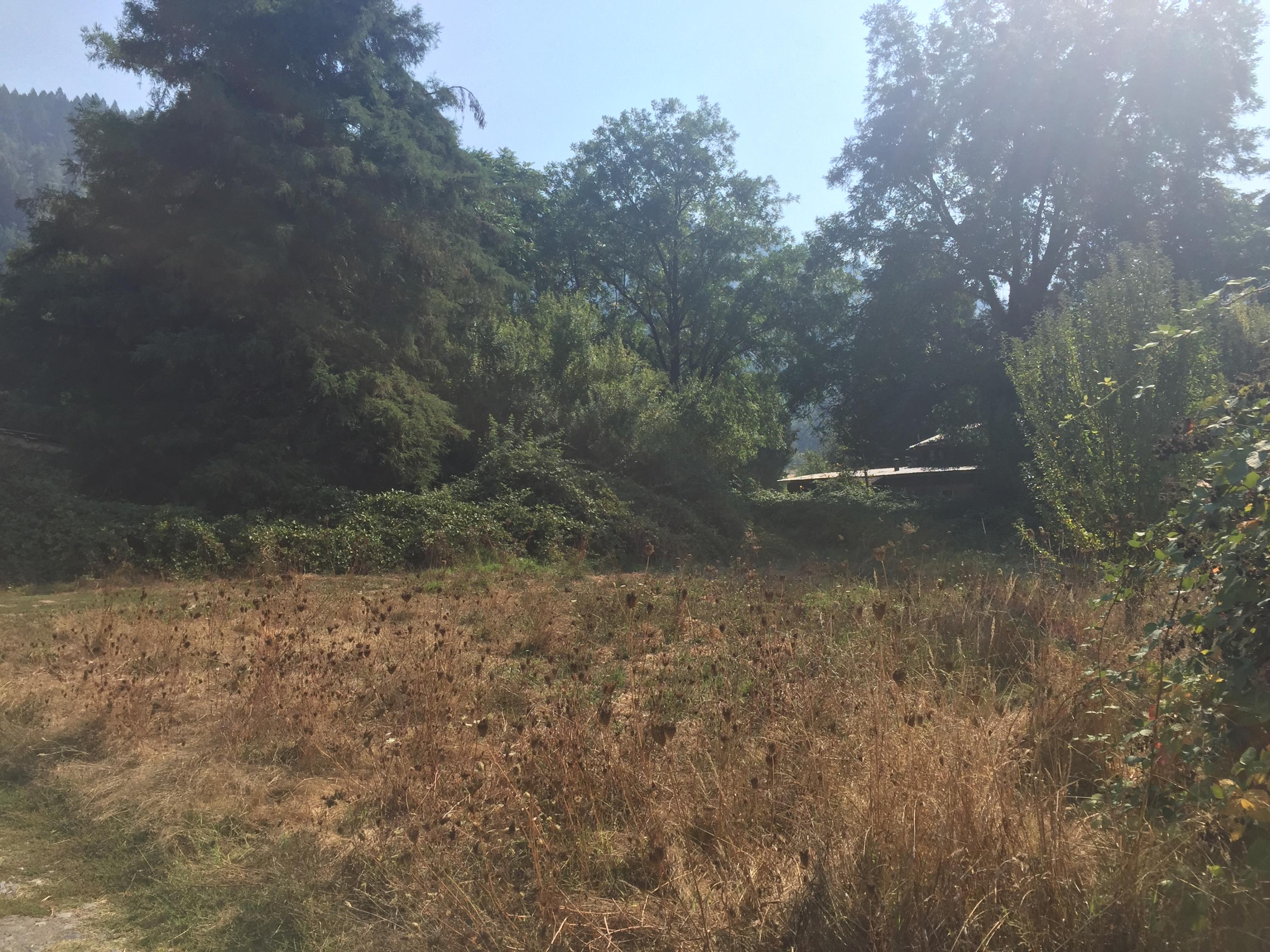 0 Marshall Lane Hoopa, CA 95546 - Photo 4 of 10