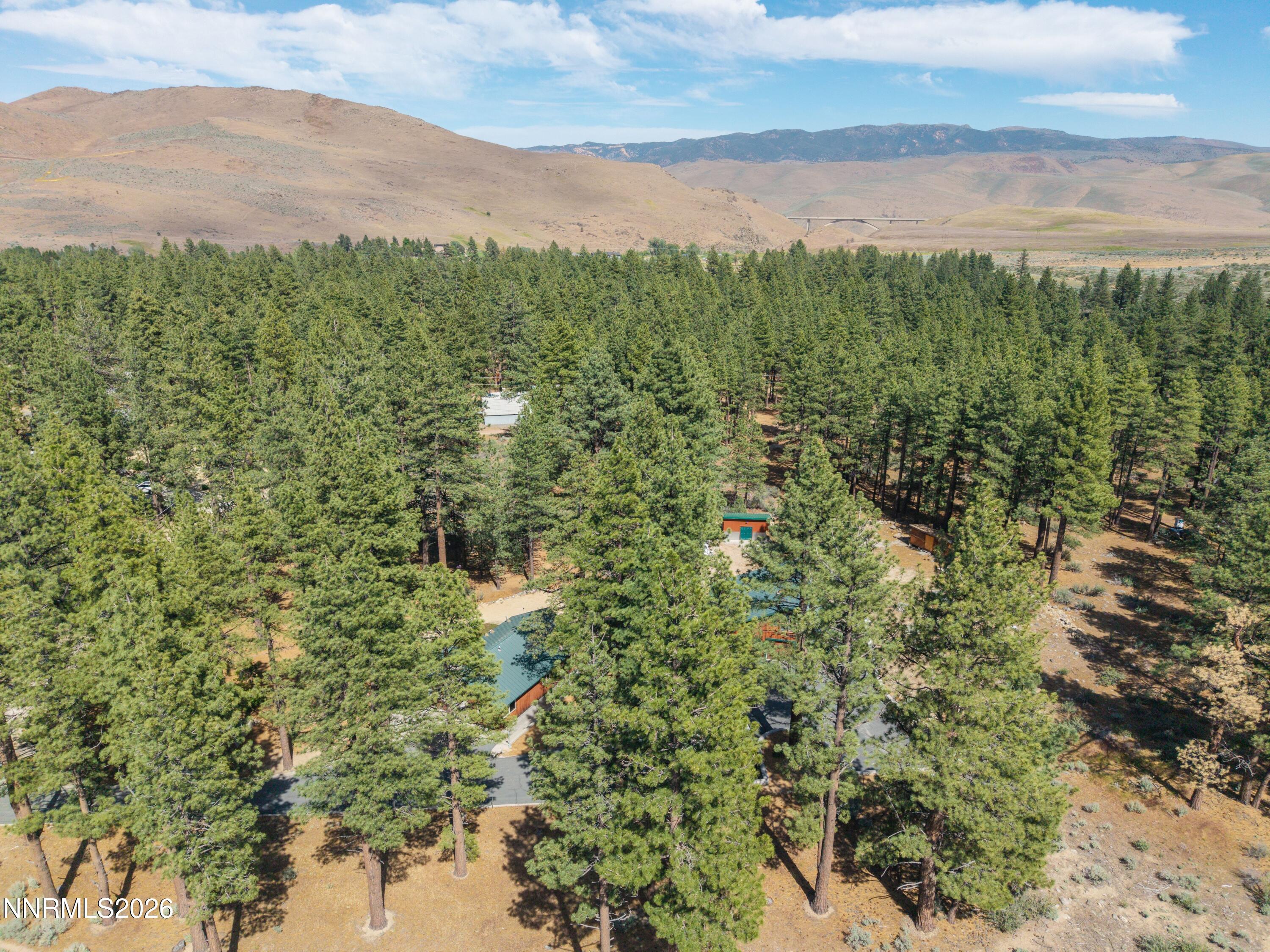 16370 Callahan Road Reno, NV 89511 - Photo 3 of 47 Overview