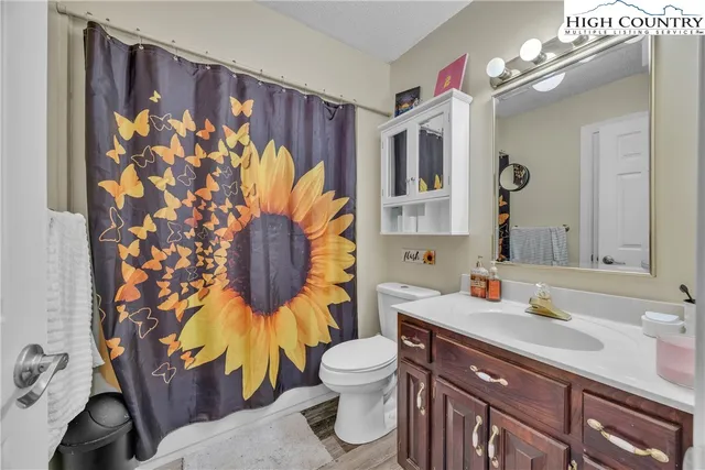 a bathroom with a sink a toilet and shower curtain