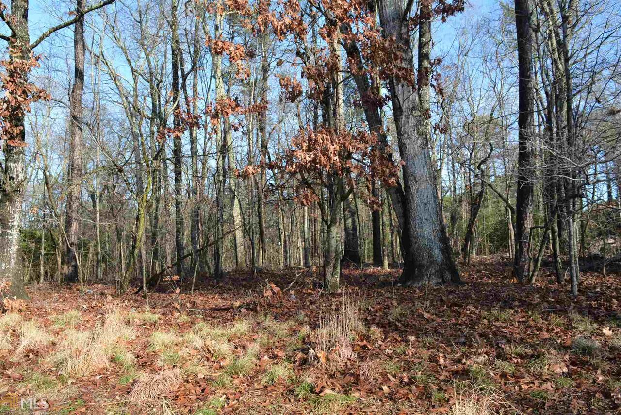 0 Banks Road, Unit LOT 2 Fayetteville, GA 30214 - Photo 1 of 1 Gallery Image 1