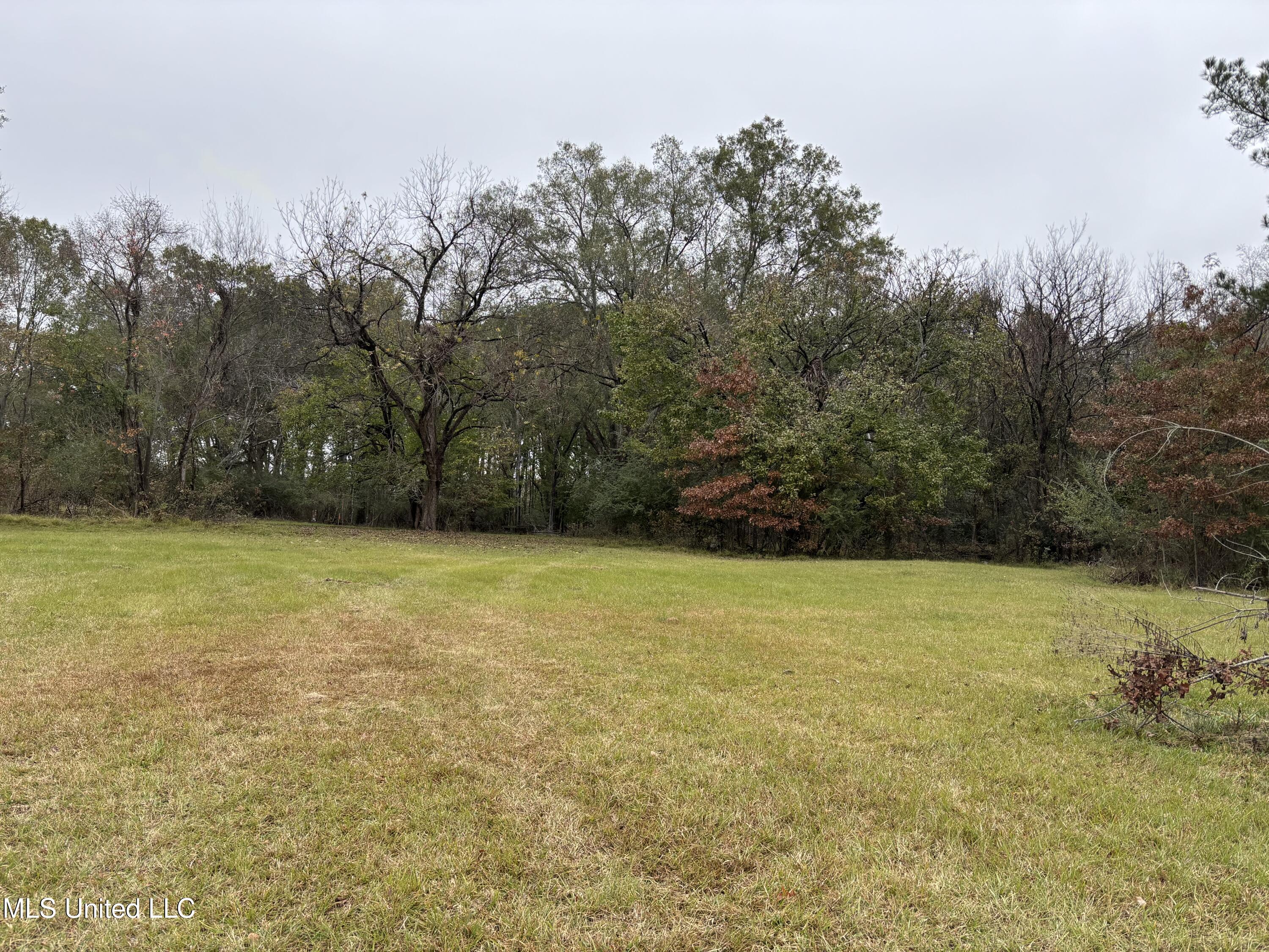 Harris Lane Madison, MS 39110 - Photo 2 of 3 IMG_3232