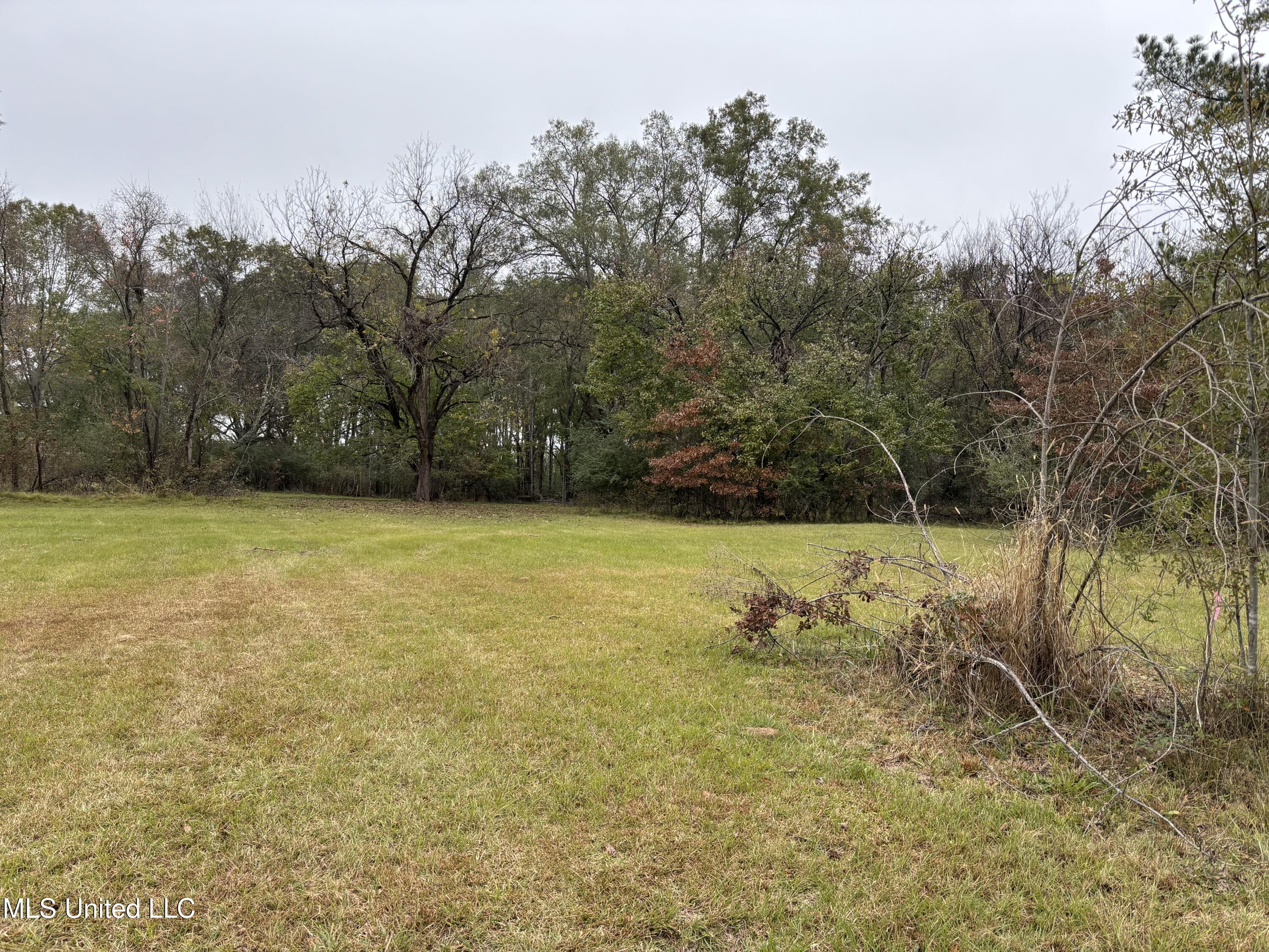 Harris Lane Madison, MS 39110 - Photo 3 of 3 IMG_3230