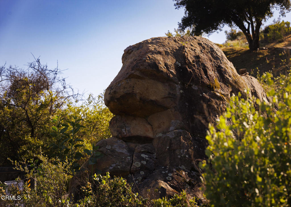 1797 Foothill Road Ojai, CA 93023 - Photo 18 of 27 a close up of a plant in a garden