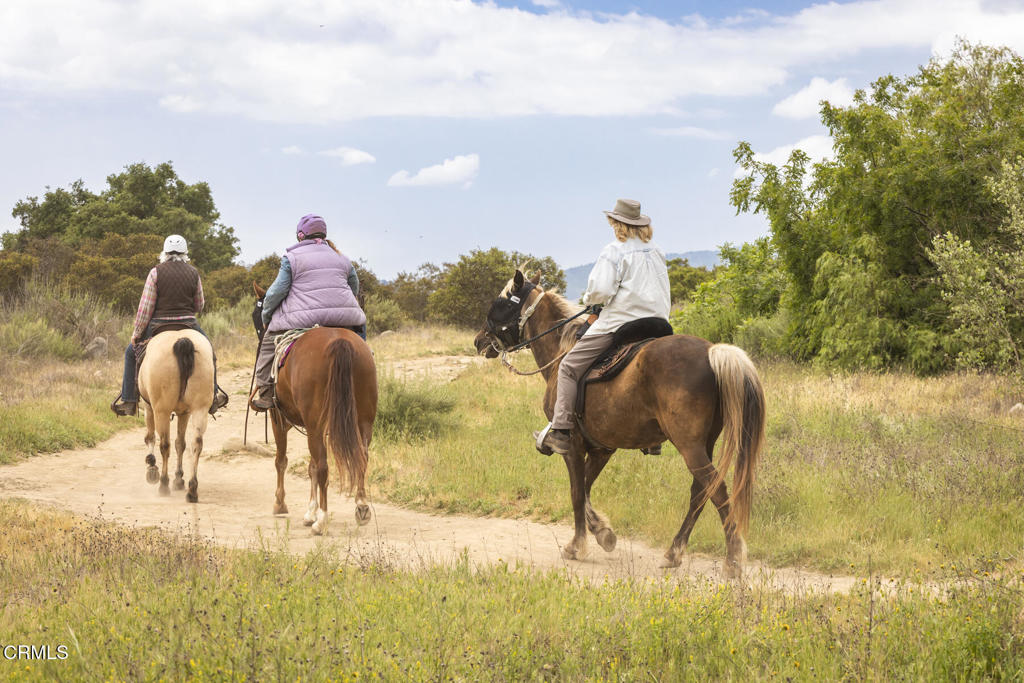 1797 Foothill Road Ojai, CA 93023 - Photo 19 of 27 a view of a yard