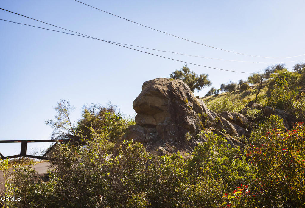 1797 Foothill Road Ojai, CA 93023 - Photo 2 of 27 a close up of a plant in a garden