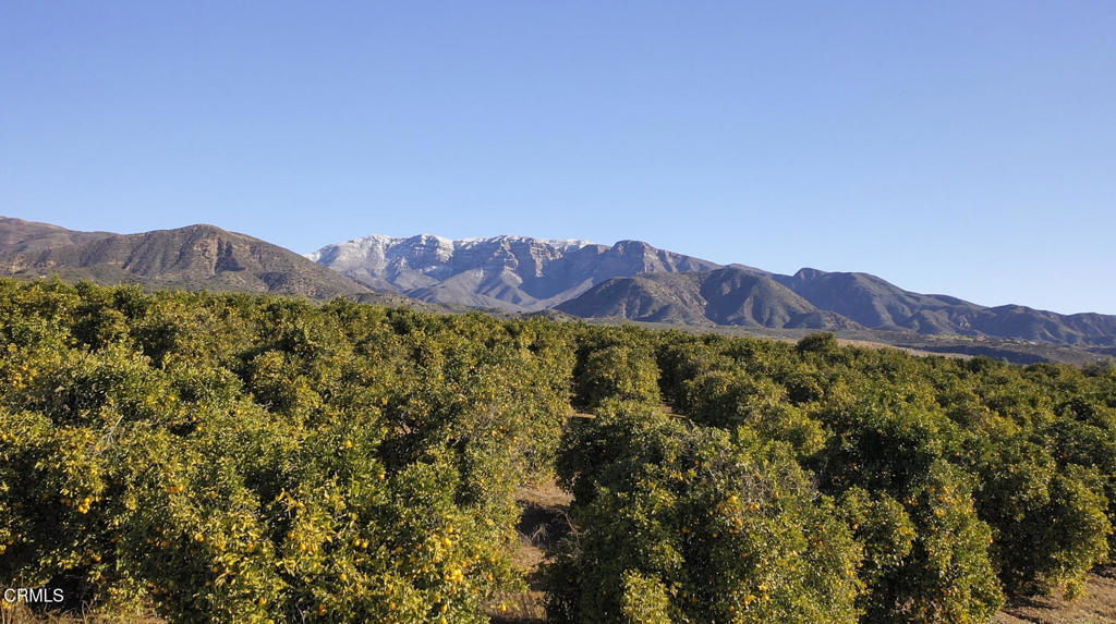 1797 Foothill Road Ojai, CA 93023 - Photo 23 of 27 a view of a lush green hillside and a building
