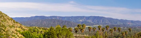 a view of garden and mountains