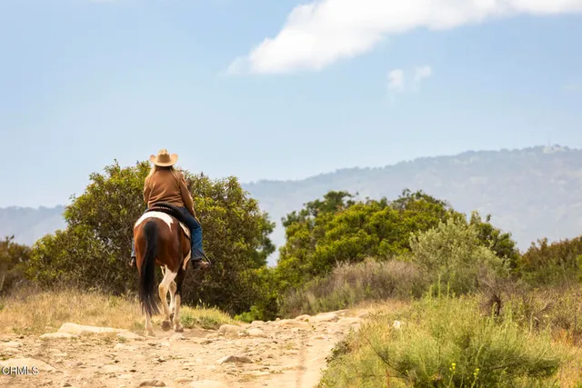 a view of a field with a mountain in the background