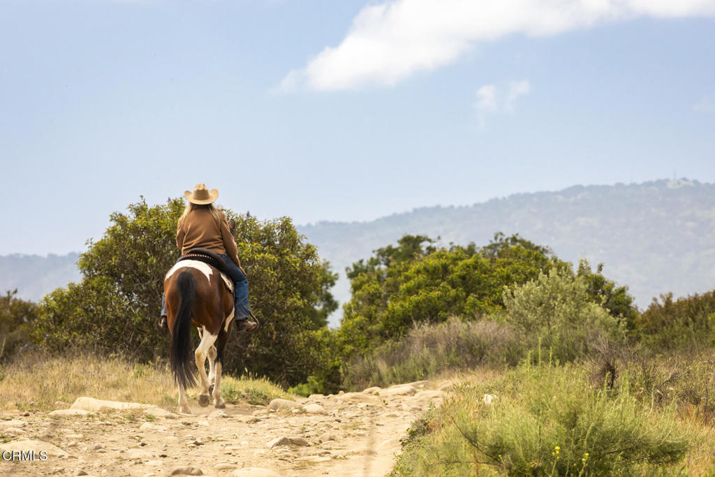 1797 Foothill Road Ojai, CA 93023 - Photo 8 of 27