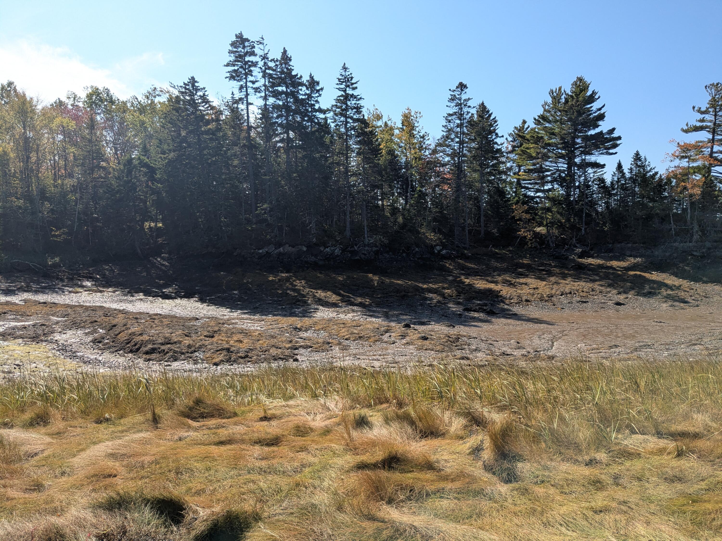 1-47.15&16 South Waterway Road Lubec, ME 04652 - Photo 11 of 11 1000006459