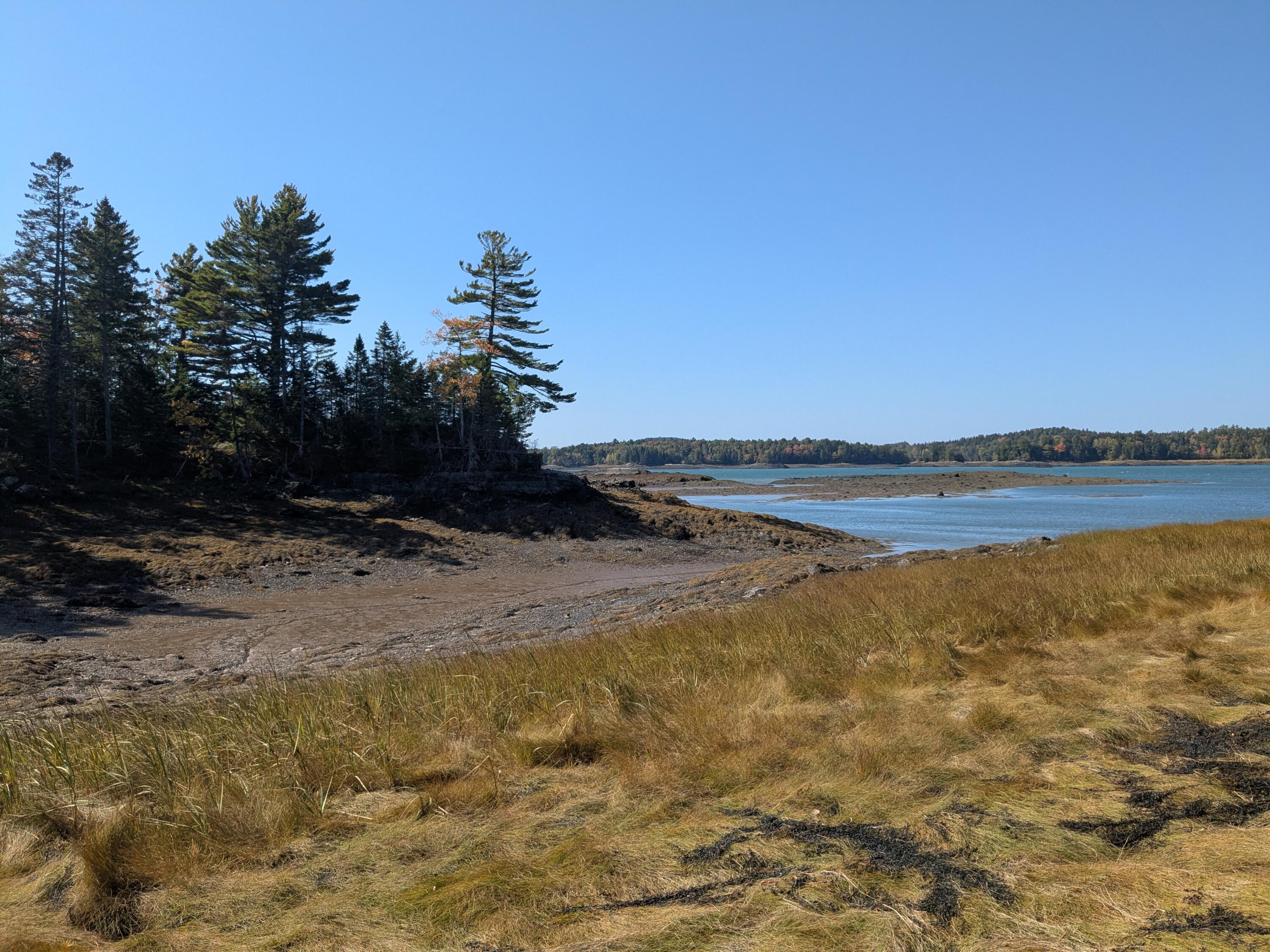 1-47.15&16 South Waterway Road Lubec, ME 04652 - Photo 7 of 11 1000006460