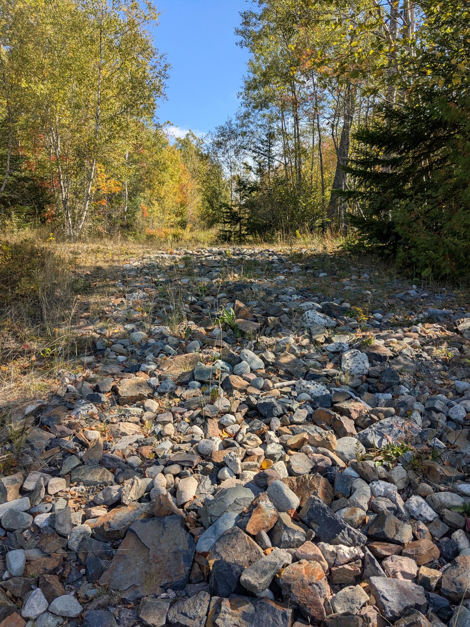 1-47.15&16 South Waterway Road Lubec, ME 04652 - Photo 10 of 11 1000006462