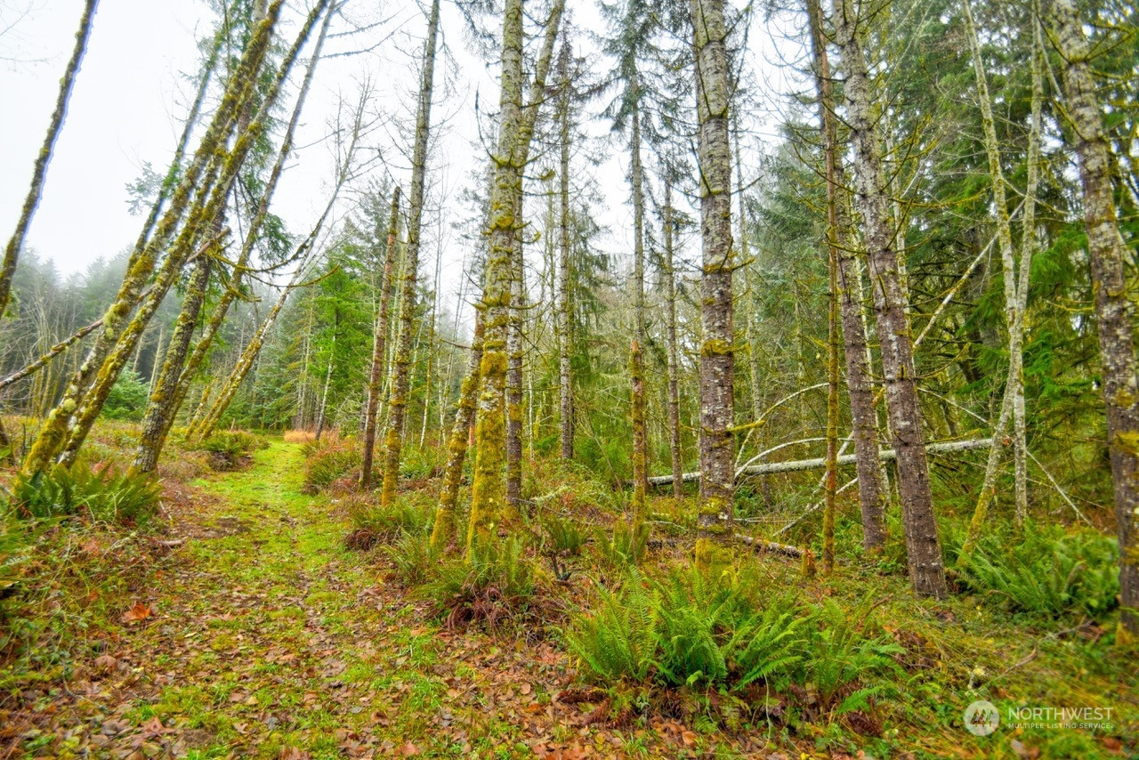 0 Crego Ridge Road Chehalis, WA 98532 - Photo 12 of 25